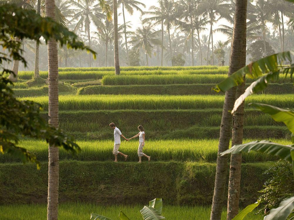 Kamandalu Station touristique Ubud